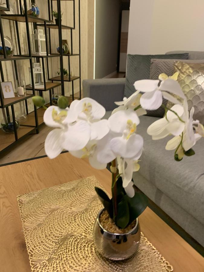 Moderno Apartament Краків Екстер'єр фото